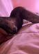 Private Photo of ILARIA-